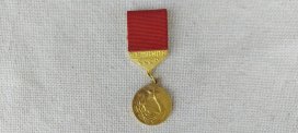 Медаль "Чемпион СССР" 